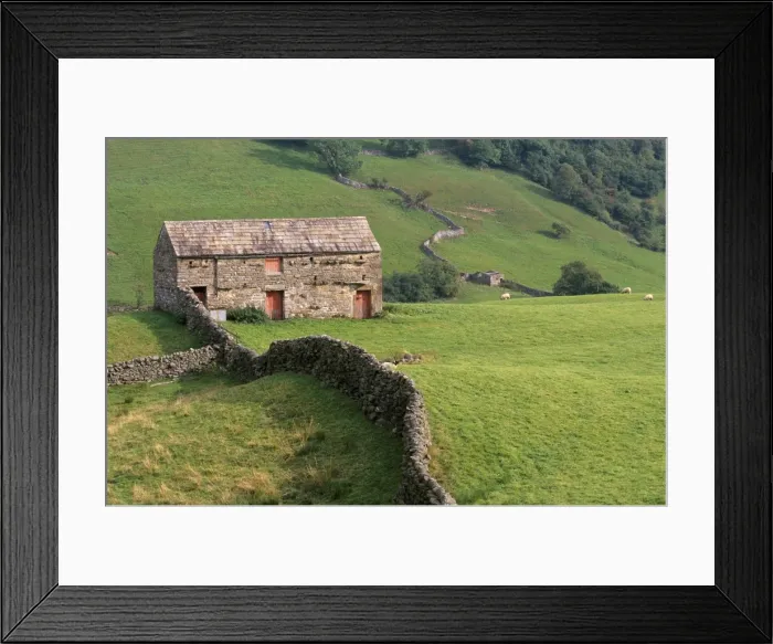 Framed Print : Traditional barn in upper Swaledale, Yorkshire Dales National Park, Yorkshire Framed Print : Traditional barn in upper Swaledale, Yorkshire Dales National Park, Yorkshire