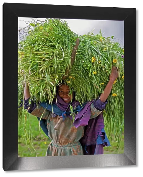 Portait of local girl carrying a large bundle of wheat and yellow Meskel flowers