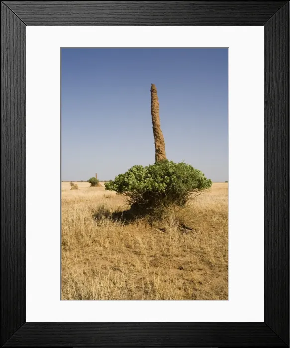 Framed Print : Termite mound in southern Ethiopia, Ethiopia, Africa Framed Print : Termite mound in southern Ethiopia, Ethiopia, Africa