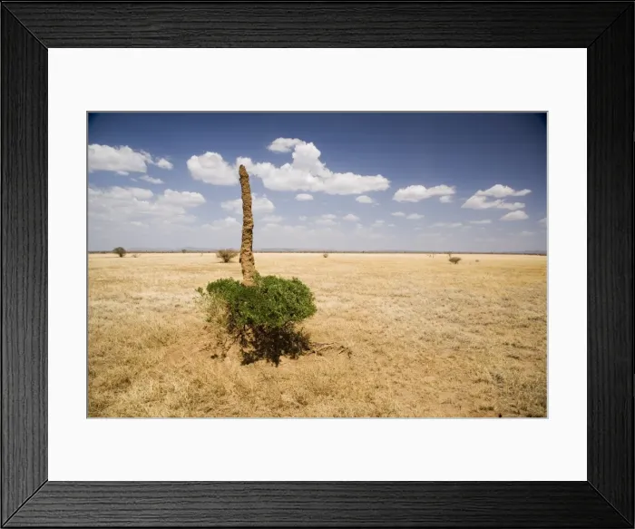 Framed Print : Termite mound, Lower Omo Valley, Ethiopia, Africa Framed Print : Termite mound, Lower Omo Valley, Ethiopia, Africa