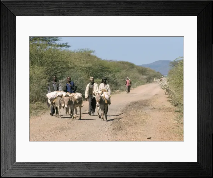 Framed Print : The long walk to the Saturday market at Sof Omar, Southern Highlands, Ethiopia, Africa Framed Print : The long walk to the Saturday market at Sof Omar, Southern Highlands, Ethiopia, Africa