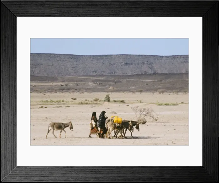Framed Print : Afar women with donkeys carrying water in very dry desert, Danakil Depression Framed Print : Afar women with donkeys carrying water in very dry desert, Danakil Depression