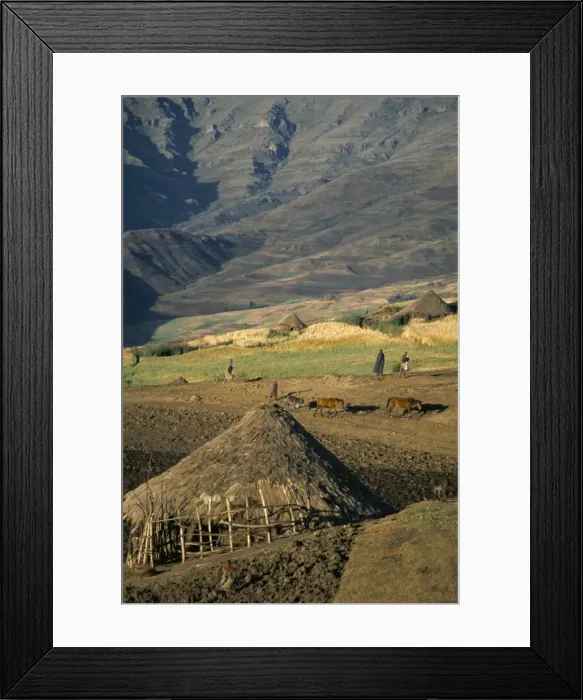Framed Print : Debirichwa village in early morning, Simien Mountains National Park, UNESCO World Heritage Site Framed Print : Debirichwa village in early morning, Simien Mountains National Park, UNESCO World Heritage Site