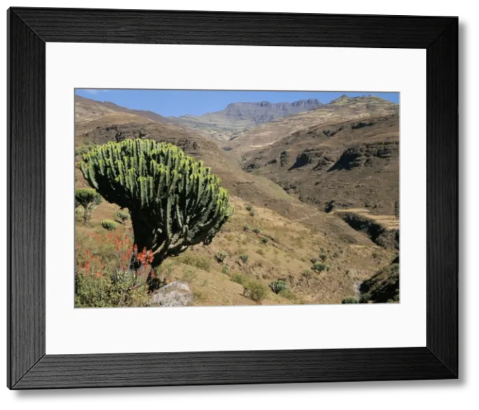 Framed Print : Mersheha River valley, Simien Mountains National Park, Ethiopia, Africa Framed Print : Mersheha River valley, Simien Mountains National Park, Ethiopia, Africa