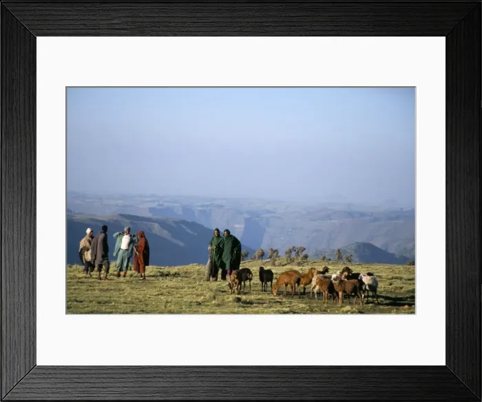 Framed Print : Shepherds at Geech Camp, Simien Mountains National Park, UNESCO World Heritage Site Framed Print : Shepherds at Geech Camp, Simien Mountains National Park, UNESCO World Heritage Site