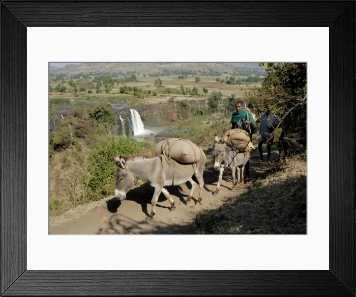 Framed Print : Tribesman, Blue Nile Falls, Ethiopia, Africa Framed Print : Tribesman, Blue Nile Falls, Ethiopia, Africa