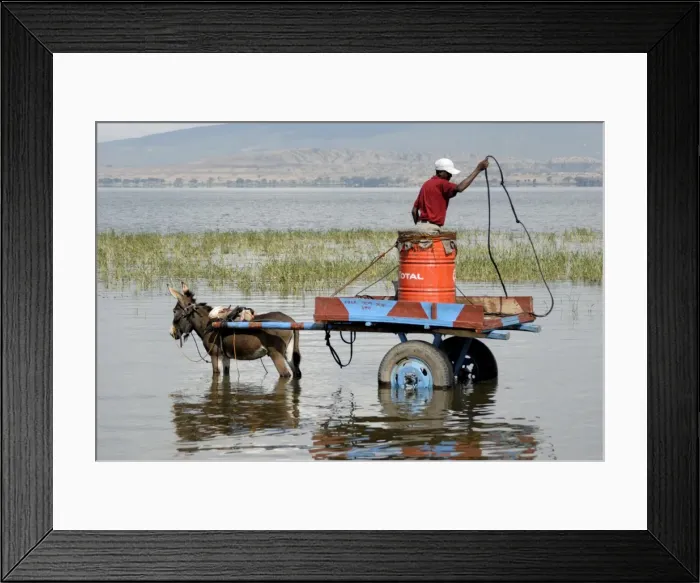 Framed Print : Water carrier, Lake Awassa, Ethiopia, Africa Framed Print : Water carrier, Lake Awassa, Ethiopia, Africa