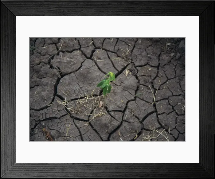 Framed Print : Cracked dried up soil, Ethiopia, Africa Framed Print : Cracked dried up soil, Ethiopia, Africa