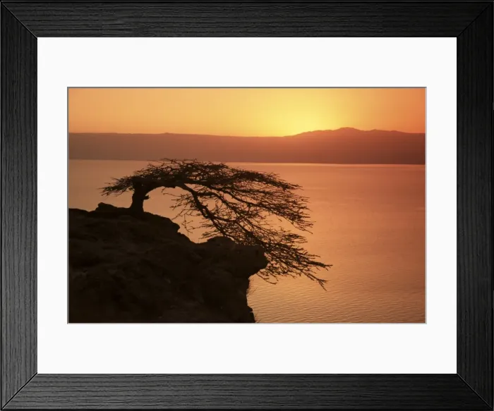 Framed Print : Acacia tree silhouetted against lake at sunrise, Lake Langano, Ethiopia, Africa Framed Print : Acacia tree silhouetted against lake at sunrise, Lake Langano, Ethiopia, Africa