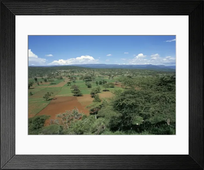 Framed Print : Area deforested and cleared for intense farming, Lake Langano, Ethiopia, Africa Framed Print : Area deforested and cleared for intense farming, Lake Langano, Ethiopia, Africa