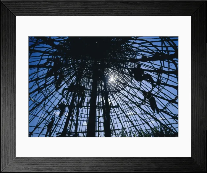 Framed Print : Constructing the roof of a large Ghraghe house, Shoa province, Ethiopia Framed Print : Constructing the roof of a large Ghraghe house, Shoa province, Ethiopia