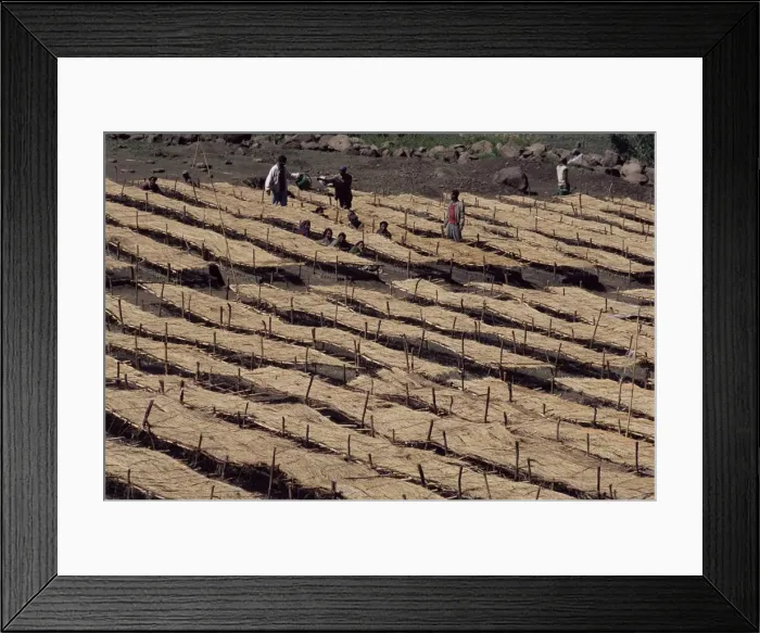 Framed Print : Lasta Valley, Wollo region, Ethiopia, Africa Framed Print : Lasta Valley, Wollo region, Ethiopia, Africa