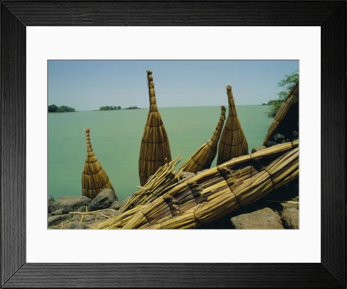 Framed Print : Papyrus boats propped up beside Lake Tana, Gondar Ethiopia, Africa Framed Print : Papyrus boats propped up beside Lake Tana, Gondar Ethiopia, Africa
