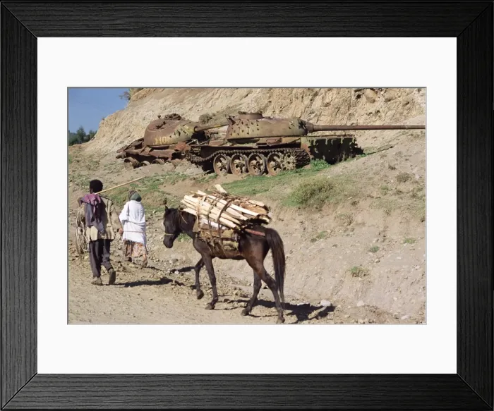 Framed Print : Horse carrying wood passes rusting tank from the war, Sentebe, Choa region Framed Print : Horse carrying wood passes rusting tank from the war, Sentebe, Choa region