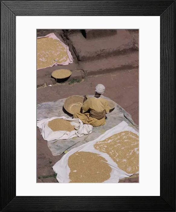 Framed Print : Man and grain, island of Dek, Lake Tana, Gondar region, Ethiopia, Africa Framed Print : Man and grain, island of Dek, Lake Tana, Gondar region, Ethiopia, Africa