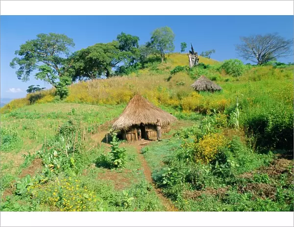 Small farm in the Metu region, Ethiopia, Africa