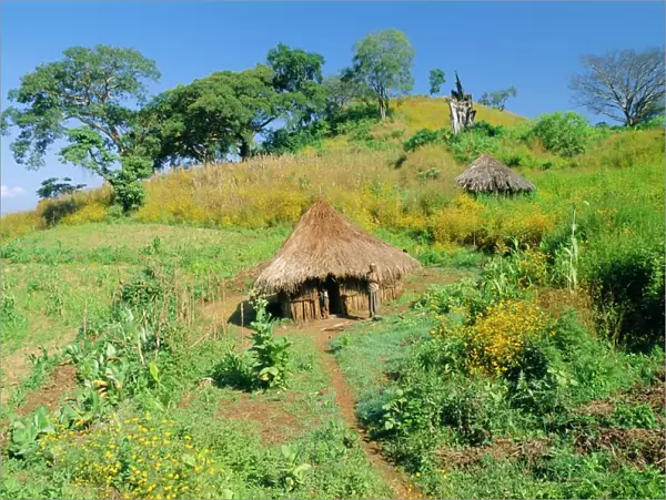 Small farm in the Metu region, Ethiopia, Africa