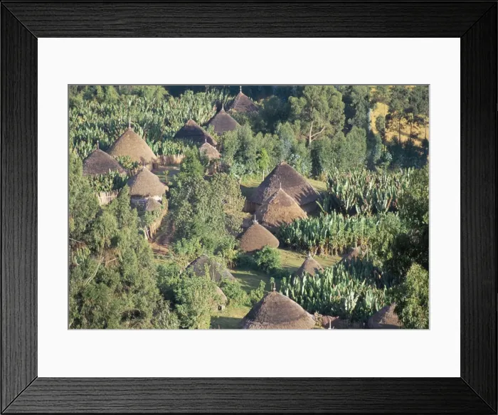 Framed Print : Village in the land of the Gourague, Hosana region, Shoa province, Ethiopia, Africa Framed Print : Village in the land of the Gourague, Hosana region, Shoa province, Ethiopia, Africa