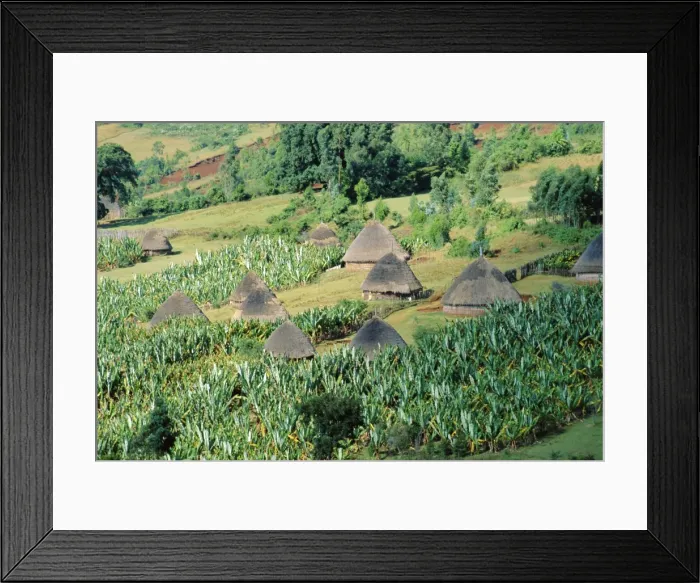 Framed Print : Small village in Hosana region, Shoa province, Ethiopia, Africa Framed Print : Small village in Hosana region, Shoa province, Ethiopia, Africa