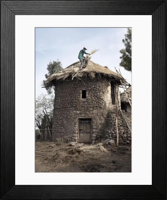 Framed Print : A man thatches the roof of his house in the town of Lalibela, Ethiopia, Africa Framed Print : A man thatches the roof of his house in the town of Lalibela, Ethiopia, Africa