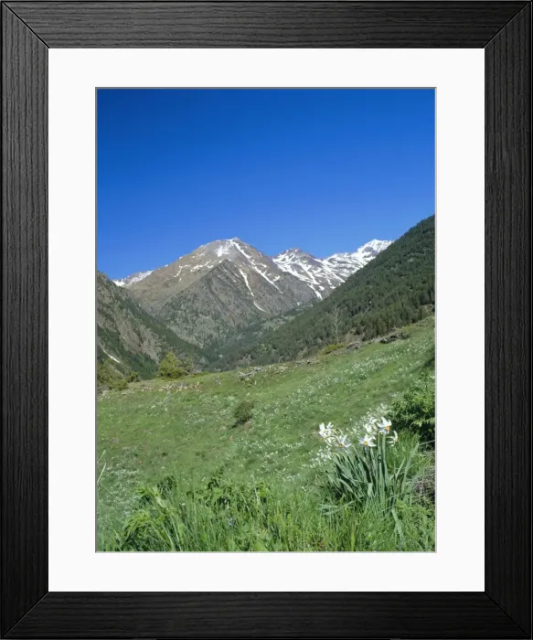 Framed Print : View north west across the Arinsal Valley to Pic de Coma Pedrosa in early summer Framed Print : View north west across the Arinsal Valley to Pic de Coma Pedrosa in early summer
