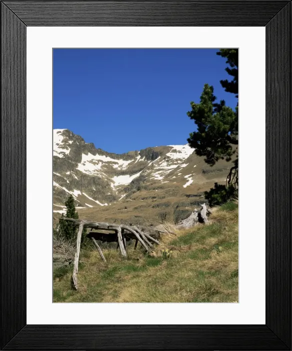 Framed Print : Wild daffodils and Cabana Sorda corrie, Obac d Incles, Soldeu, Andorra, Europe Framed Print : Wild daffodils and Cabana Sorda corrie, Obac d Incles, Soldeu, Andorra, Europe