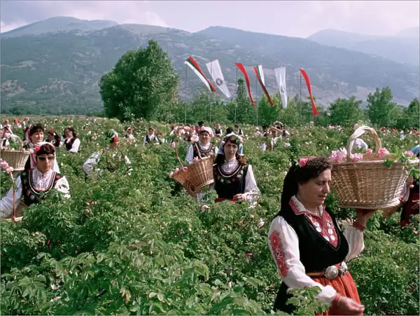 Rose Festival, Bulgaria, Europe