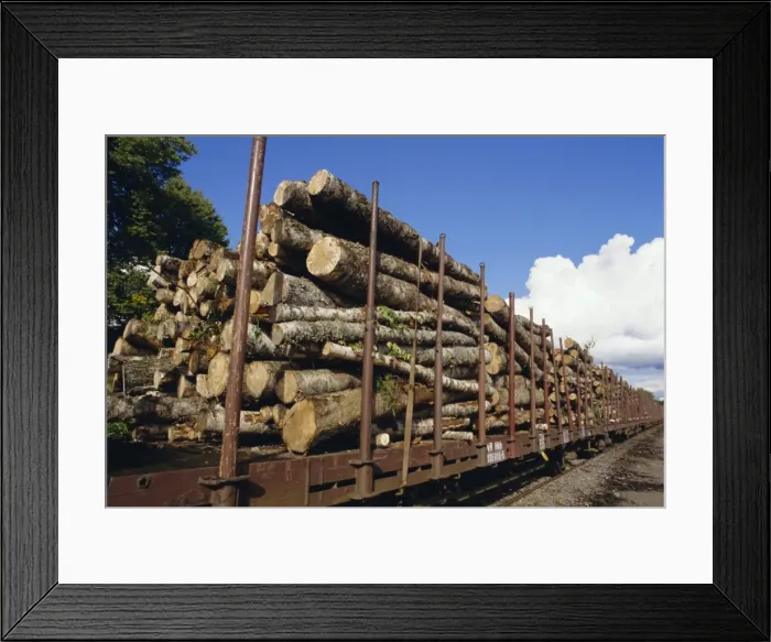 Framed Print : Timber logs at rail siding, Finland, Scandinavia, Europe