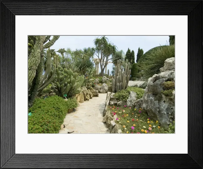 Framed Print : Jardin Exotique, Moneghetti, Monaco, Europe Framed Print : Jardin Exotique, Moneghetti, Monaco, Europe