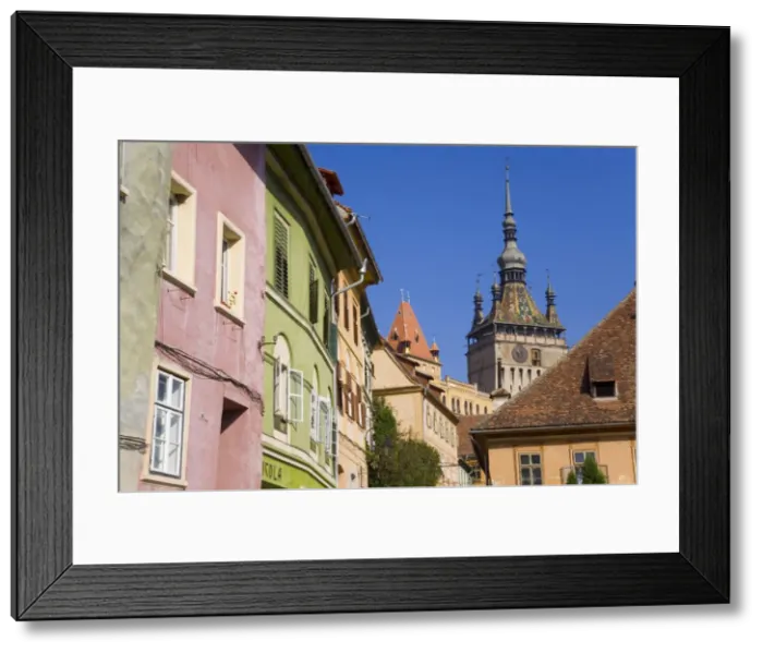 Framed Print : Clock tower (Turnul cu Ceas) and colourfully painted houses, in the medieval old town or citadel