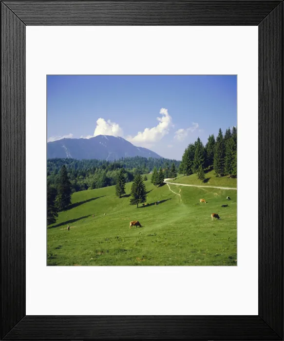Framed Print : Apline pastures on the edge of the Bucegi Mountains, Carpathian Mountains