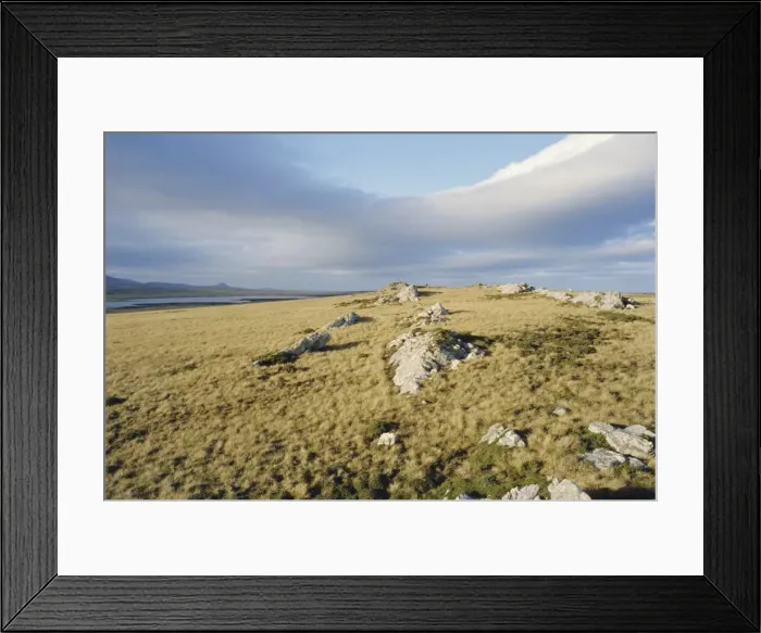 Framed Print : Typical landscape, East Falklands, Falkland Islands, South Atlantic Framed Print : Typical landscape, East Falklands, Falkland Islands, South Atlantic