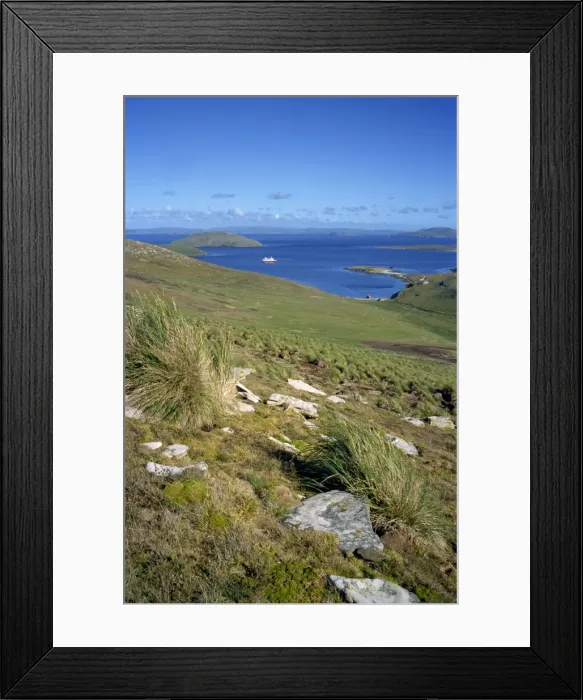 Framed Print : Landscape on New Island looking down to settlement and tourist ship in the bay
