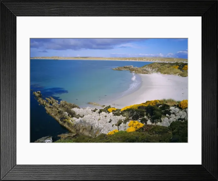 Framed Print : Bay on the coast near Stanley, Falkland Islands Framed Print : Bay on the coast near Stanley, Falkland Islands