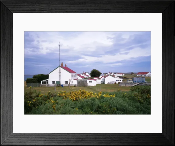 Framed Print : Settlement of Goose Green, Falkland Islands, South America Framed Print : Settlement of Goose Green, Falkland Islands, South America