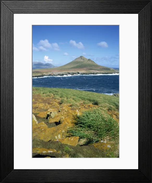Framed Print : Steeple Jason, one of the most remote islands, Falkland Islands, South Atlantic Framed Print : Steeple Jason, one of the most remote islands, Falkland Islands, South Atlantic