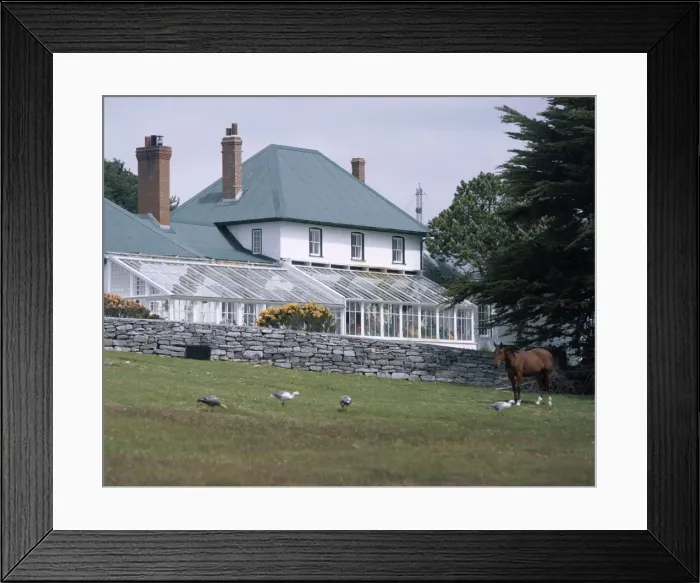 Framed Print : Exterior of Government House, Stanley, Falkland Islands, South America Framed Print : Exterior of Government House, Stanley, Falkland Islands, South America