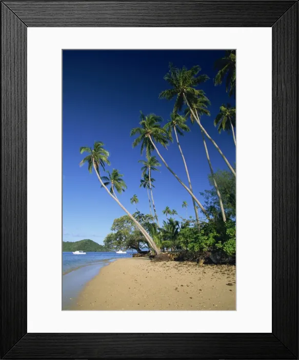 Framed Print : Palm tree lined beach on Matangi Island, with Qamea Island behind, Fiji Framed Print : Palm tree lined beach on Matangi Island, with Qamea Island behind, Fiji