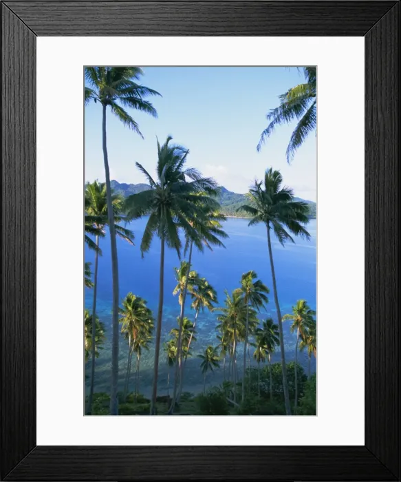 Framed Print : Palm trees at Matangi island, Qamea island in background, Fiji, South Pacific islands Framed Print : Palm trees at Matangi island, Qamea island in background, Fiji, South Pacific islands