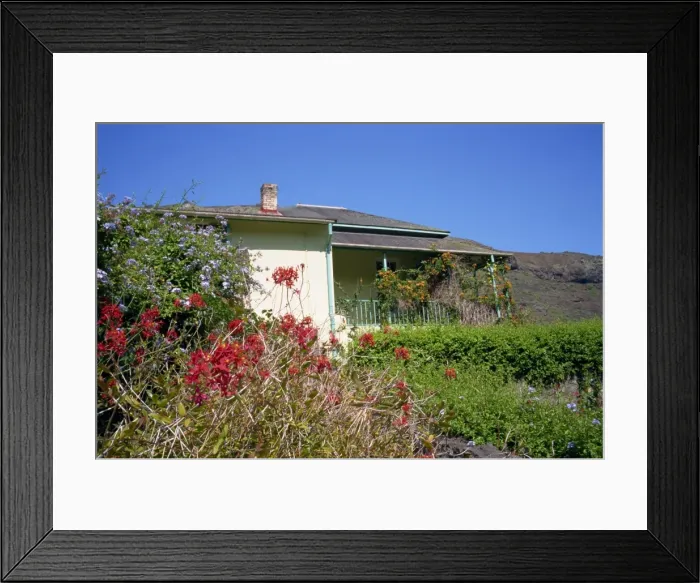 Framed Print : Flowers in front of Briars Pavilion, the house where Napoleon stayed from October to December 1815 Framed Print : Flowers in front of Briars Pavilion, the house where Napoleon stayed from October to December 1815
