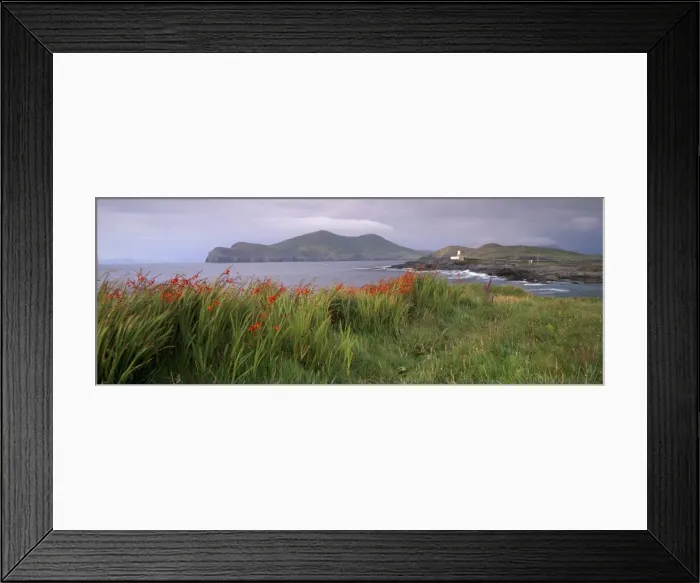 Framed Print : Doulus Bay and Doulus Head, Valentia island, Ring of Kerry, Munster, Republic of Ireland Framed Print : Doulus Bay and Doulus Head, Valentia island, Ring of Kerry, Munster, Republic of Ireland