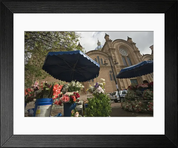 Framed Print : The popular flower market and new Catedral de la Inmaculada Concepcion built in 1885 Framed Print : The popular flower market and new Catedral de la Inmaculada Concepcion built in 1885