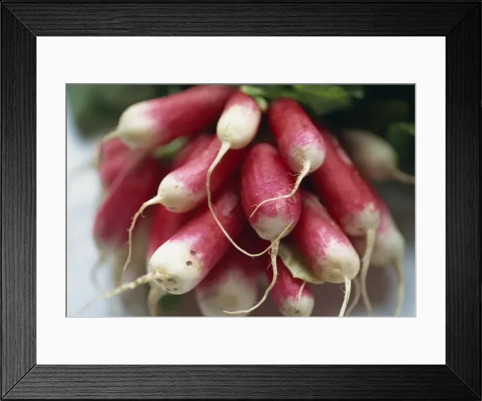 Framed Print : Close-up of a bunch of radishes Framed Print : Close-up of a bunch of radishes