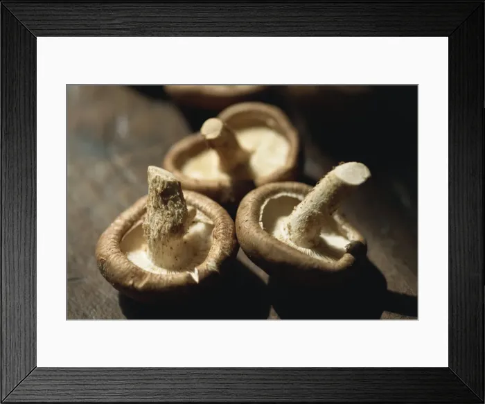 Framed Print : Close-up of mushrooms