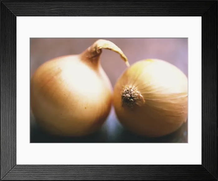 Framed Print : Studio shot of two onions Framed Print : Studio shot of two onions