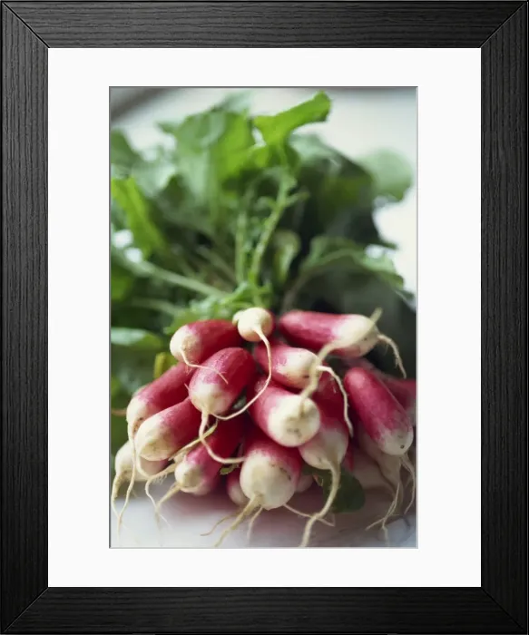 Framed Print : Radishes Framed Print : Radishes