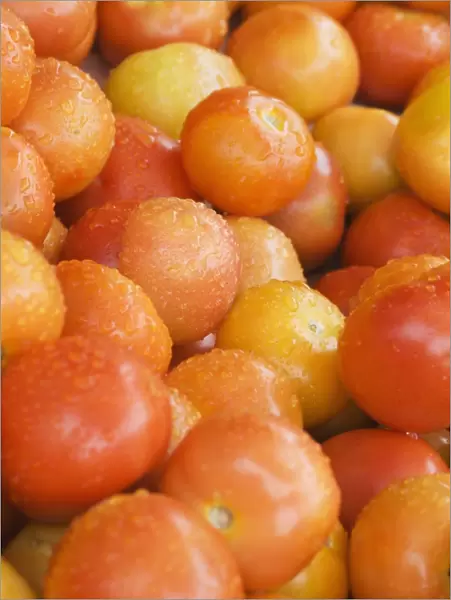 Tomatoes on a market stall