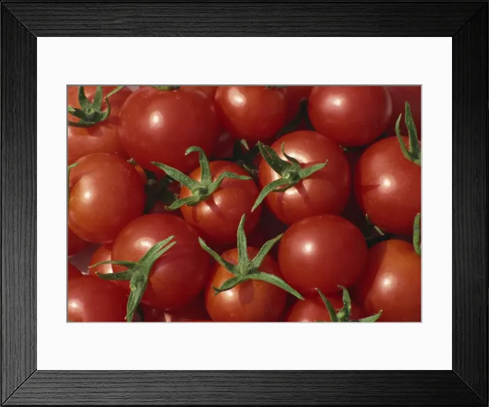 Framed Print : Bright red tomatoes Framed Print : Bright red tomatoes