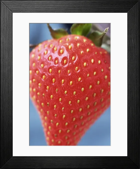 Framed Print : Close-up of strawberry in natural light Framed Print : Close-up of strawberry in natural light