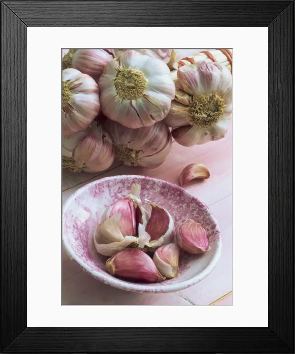 Framed Print : Close-up of cloves of garlic in a pink bowl, with a bunch of heads of garlic in the background Framed Print : Close-up of cloves of garlic in a pink bowl, with a bunch of heads of garlic in the background